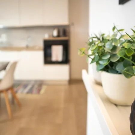 Elise Apartment *